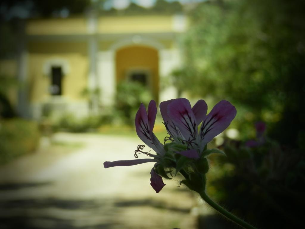 Hotel Dimora Relais Excelsa Gallipoli Exterior foto